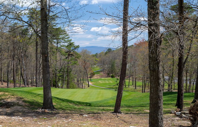 Massanutten's Woodstone Meadows by Tripforth - Foto 73