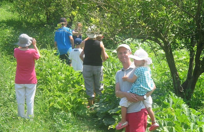 Il Casale delle Arance - Foto 14