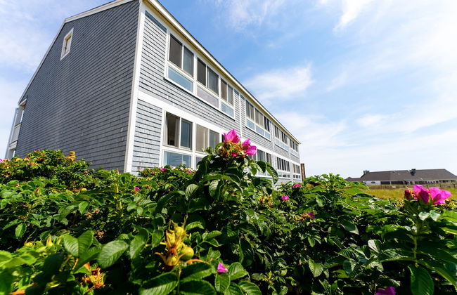 Edgewater Beach Resort, a VRI resort - Foto 49