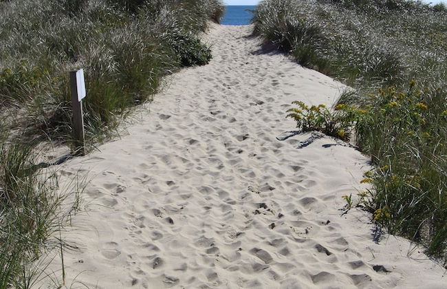 Edgewater Beach Resort, a VRI resort - Foto 37