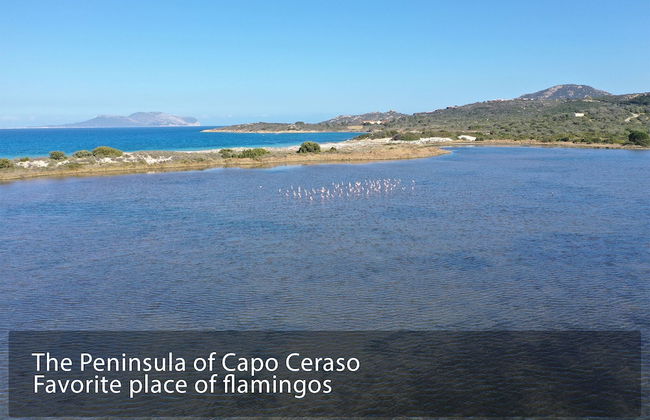 Capo Ceraso Family Residence - Foto 54