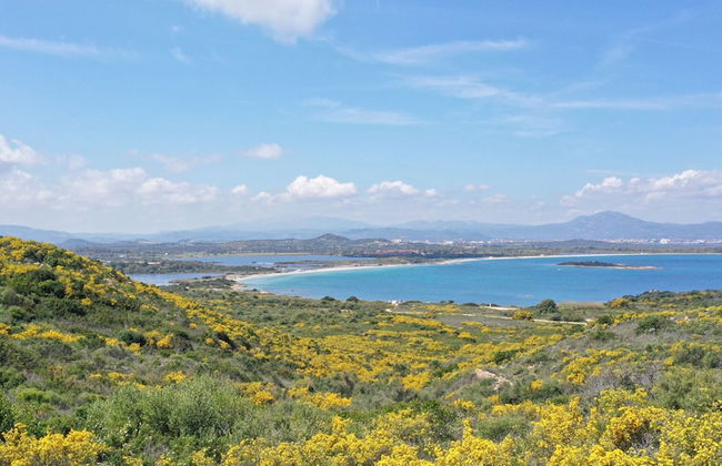 Capo Ceraso Family Residence - Foto 75