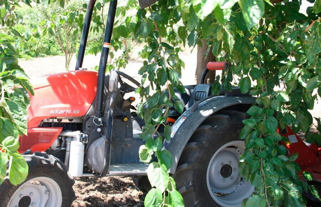 Agricampeggio Maccari - Foto 24
