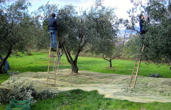 Cozy Cottage in Abbateggio With Garden - Foto 24