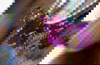 Foto 29 - Casa Rural as Bentinas