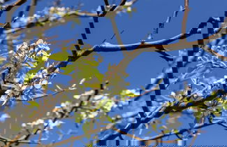 Foto 79 - Casa Rural as Bentinas