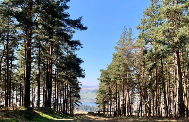 Swinton Bivouac - Foto 47