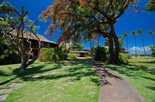 Photo 26 - Maui Sands #5g 2 Bedroom Condo by RedAwning