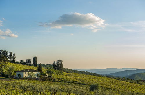 Foto 44 - Agriturismo Fattoria Lavacchio