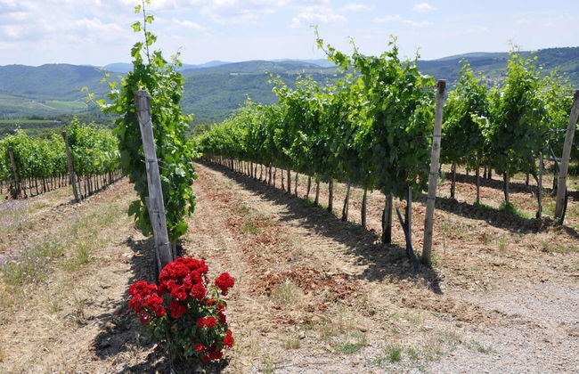 Borgo Castelvecchi - Foto 57