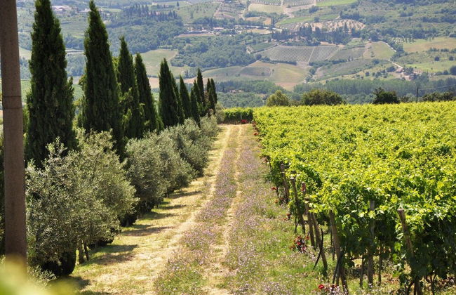 Borgo Castelvecchi - Foto 54