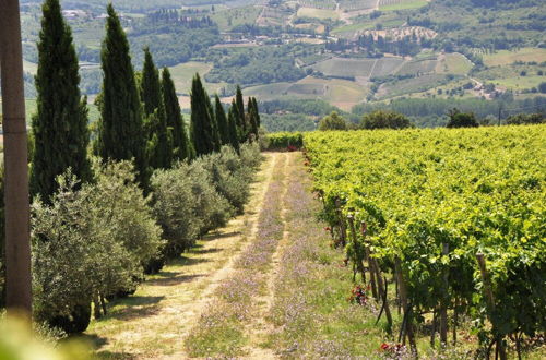 Photo 54 - Borgo Castelvecchi