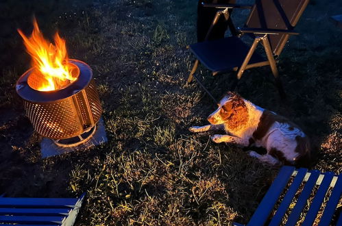 Photo 8 - Boutique Luxury Bell Tent Near Torpoint