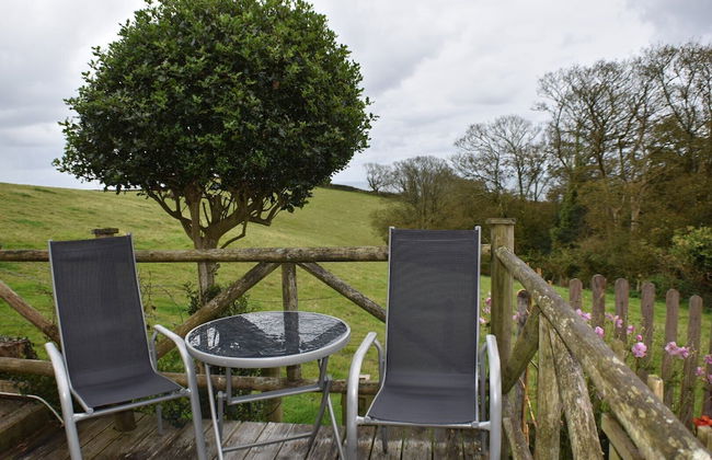 Frogwell - Foto 16