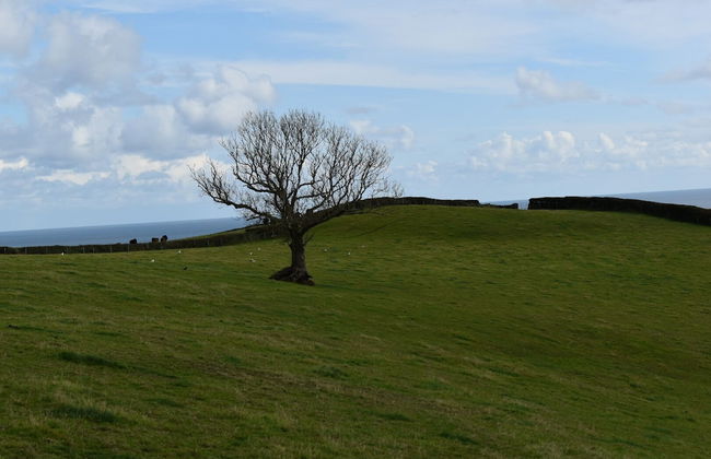Frogwell - Foto 14