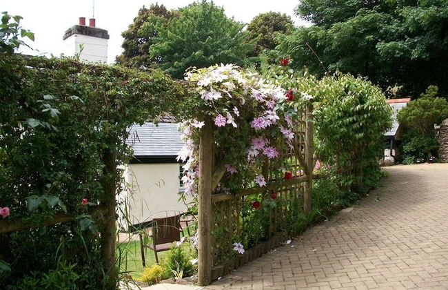 Frogwell - Foto 19