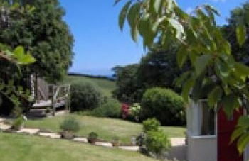 Frogwell - Foto 20