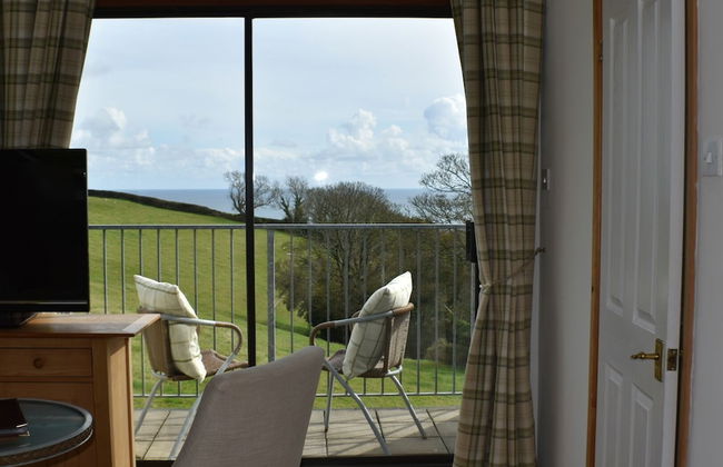 Frogwell - Foto 11