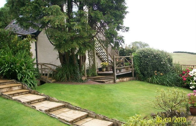 Frogwell - Foto 21