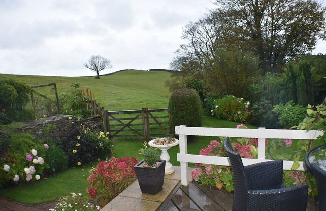 Frogwell - Foto 15