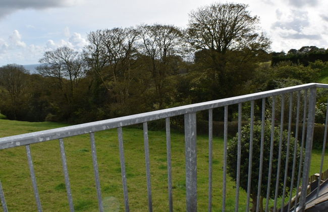 Frogwell - Foto 5