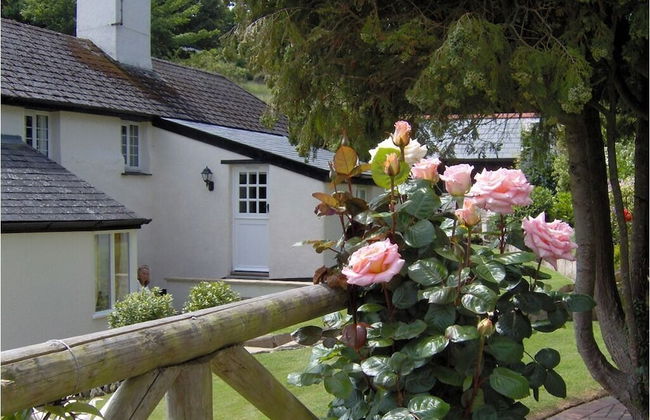 Frogwell - Foto 1