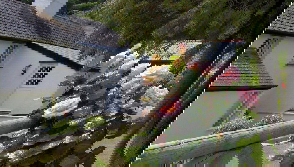 Image principale