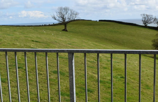 Frogwell - Foto 6