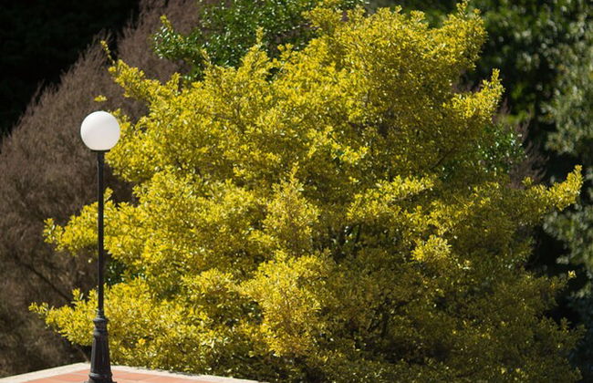 Rusticae Casa A Pedreira - Foto 25
