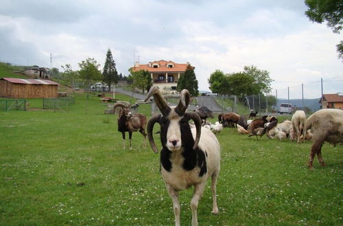 Foto 35 - Agroturismo Indate Berri