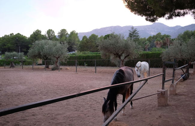 Casa Rural Aire - Foto 16