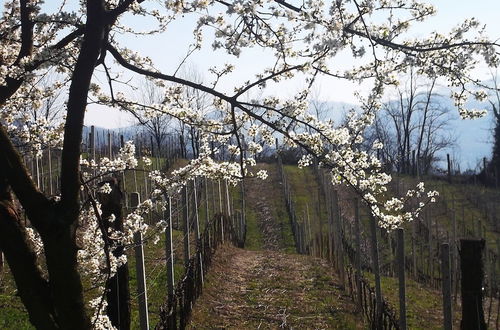 Photo 40 - Agriturismo Podere Luciano