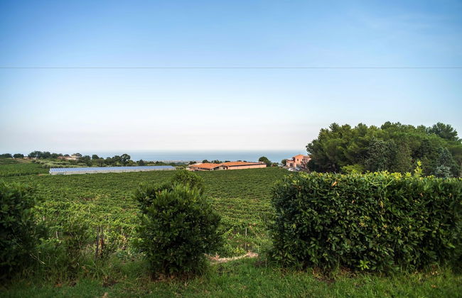 Tenuta San Michele - Foto 32