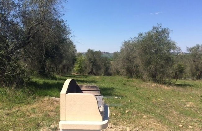 Fattoria Casa Sola - Photo 60