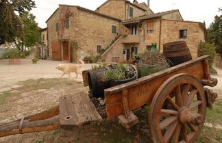 Foto 2 - Fattoria Casa Sola