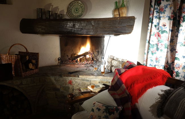 Fattoria Casa Sola - Photo 9