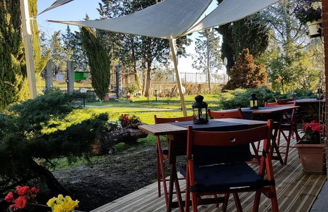 Allevamento B&B - Foto 41