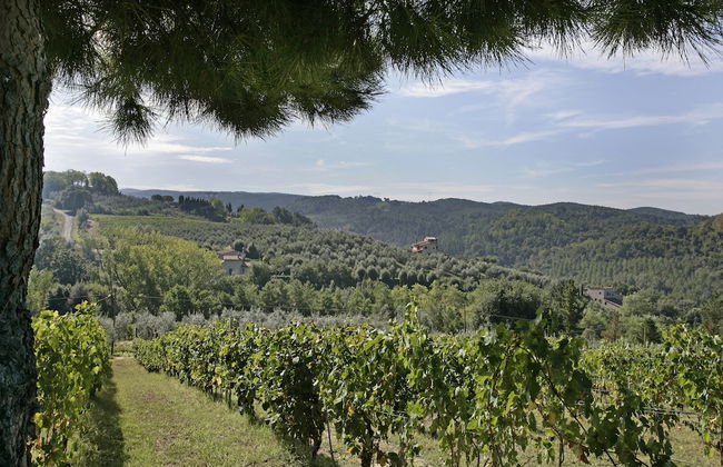 Il Torrino Country Resort - Foto 36