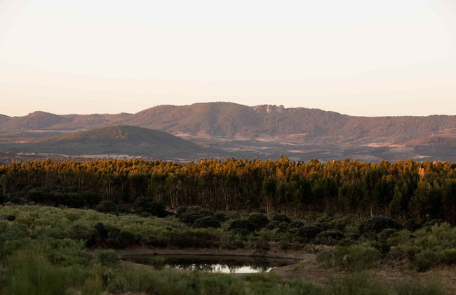 Herdade dos Abegões - Foto 11