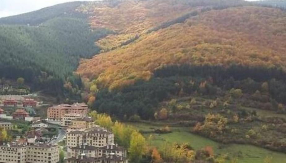 Imagem principal