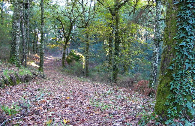 Quinta da Prova - Foto 19
