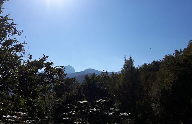 B&B da Morena - Photo 32