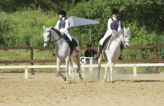 Farmhouse With Stables, Horses and the Ability to Make Horseback Riding - Foto 69