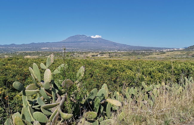 La Fattoria dei Nonni Resort dell'Etna - Foto 49