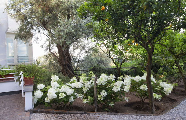 Villa Oriana Relais - Foto 55