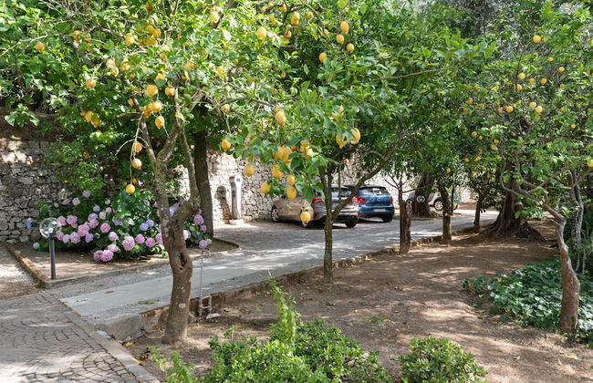 Villa Oriana Relais - Foto 53