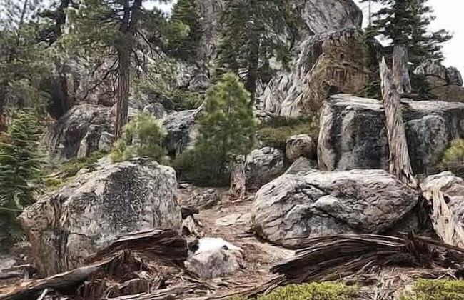 Heaven's Nest - the Best Views of Lake Tahoe! - Foto 17