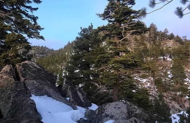 Heaven's Nest - the Best Views of Lake Tahoe! - Foto 13