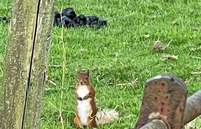 1-bed Luxury Studio Apartment Cockermouth - Foto 13