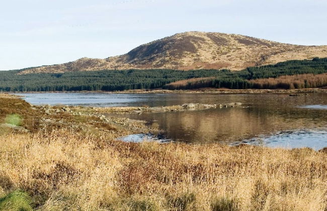 Stunning 2-bed Cottage Countryside Outside Ayr - Foto 42